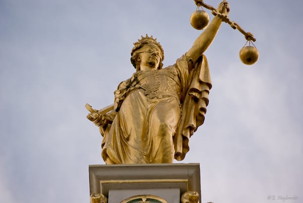 Authoritarianism in the Language of Liberty