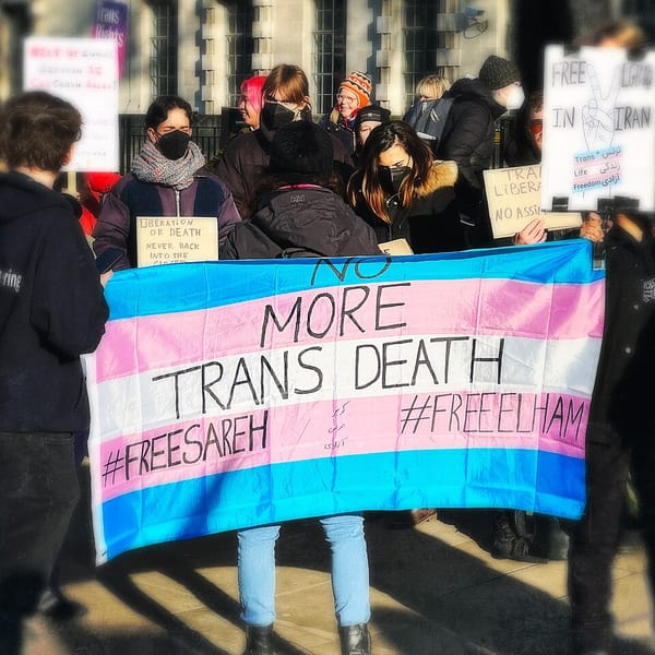 The Dual State of Trans Existence